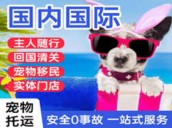 佳木斯东郊机场邮寄国际宠物托运 【国